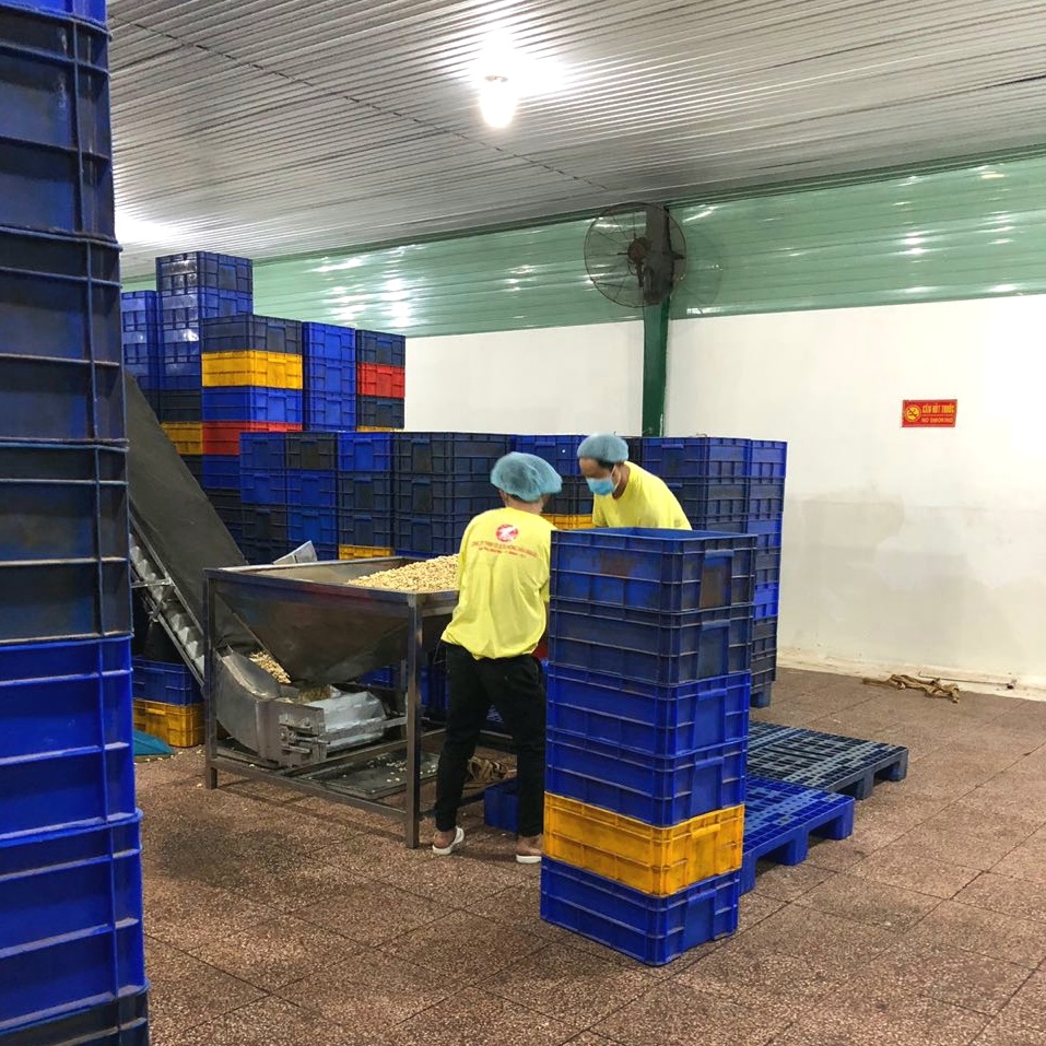 khu vuc phan loai bang may